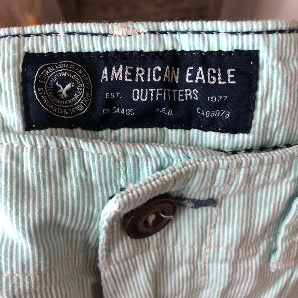 Mint Seersucker AEO Men’s Shorts - Picture 4 of 8